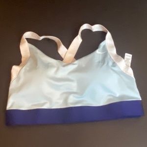 Nike Sports Bra (Large)